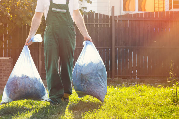 Best Shed Removal  in Curwensville, PA